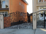 Gard si poarta din fier